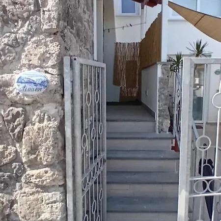 Marinto * ايسكيا